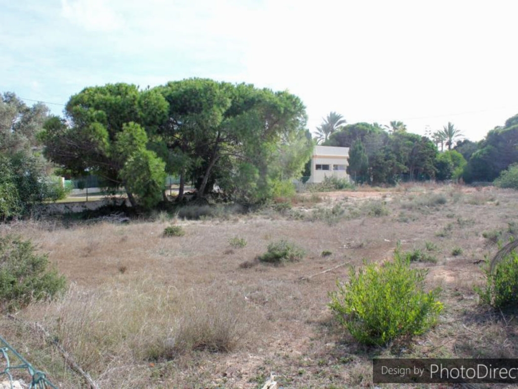 Land in Cabo Roig